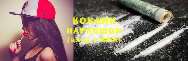 ПСИЛОЦИБИНОВЫЕ ГРИБЫ Гусев