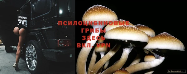 марки nbome Дмитров