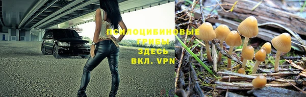 ПСИЛОЦИБИНОВЫЕ ГРИБЫ Гусев