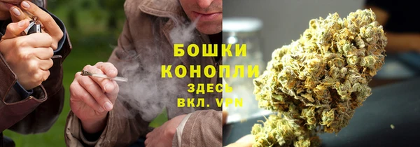 ПСИЛОЦИБИНОВЫЕ ГРИБЫ Гусев