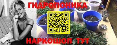 марки nbome Бийск