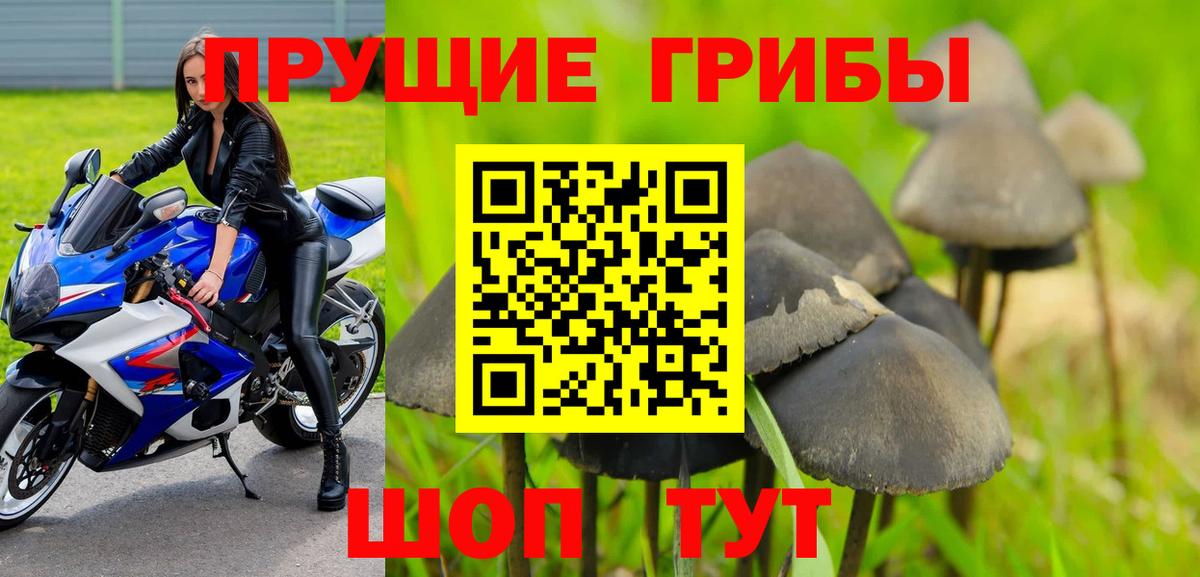 Донецк  Псилоцибиновые грибы MAGIC MUSHROOMS  Галлюциногенные грибы Magic Shrooms  Вход с VPN 