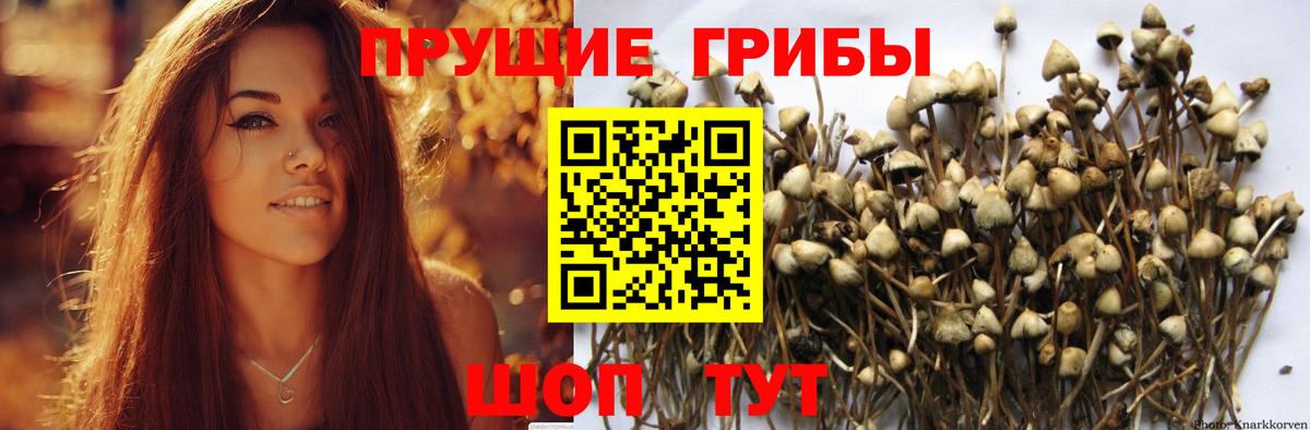 Псилоцибиновые грибы MAGIC MUSHROOMS Донецк