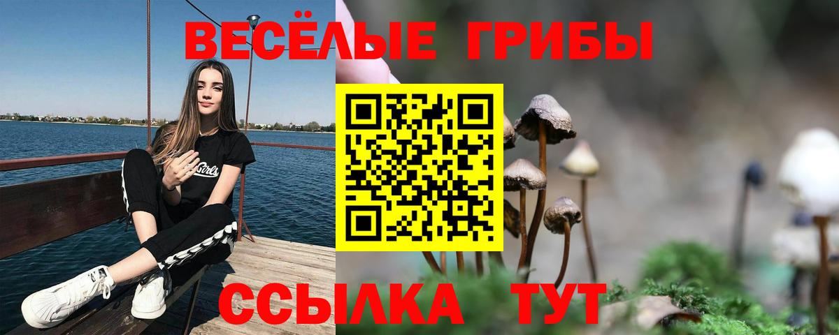 Псилоцибиновые грибы ЛСД Донецк