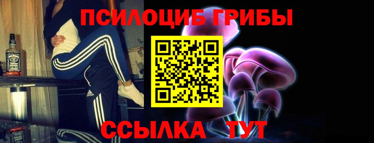 где продают   Галлюциногенные грибы мицелий  Донецк  Псилоцибиновые грибы GOLDEN TEACHER 